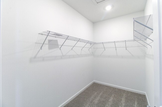 Building Photo - 2278 White Buffalo St