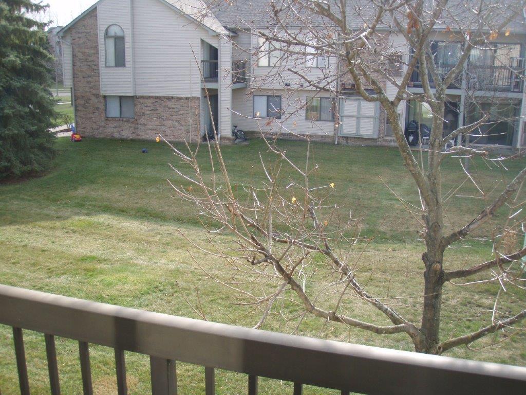 Building Photo - 42766 Lilley Pointe Dr