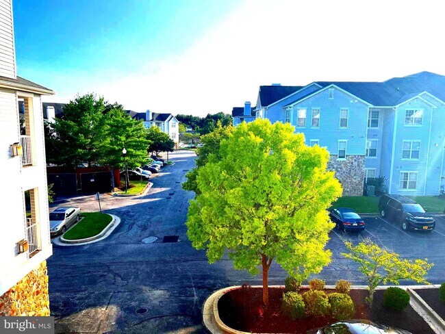 Building Photo - 7418 Hindon Cir