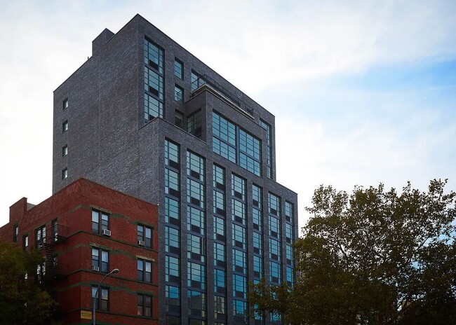 Building Photo - 331 E Houston St