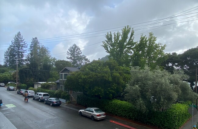 Building Photo - HUGE Stunning Remodeled 1BR/1BA Flat! Parking! -PROGRESSIVE