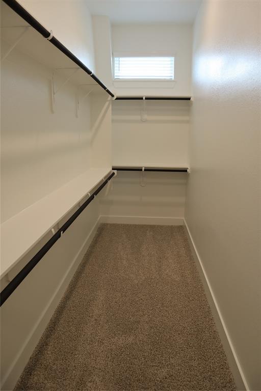 Building Photo - 21114 Garden Palm Dr