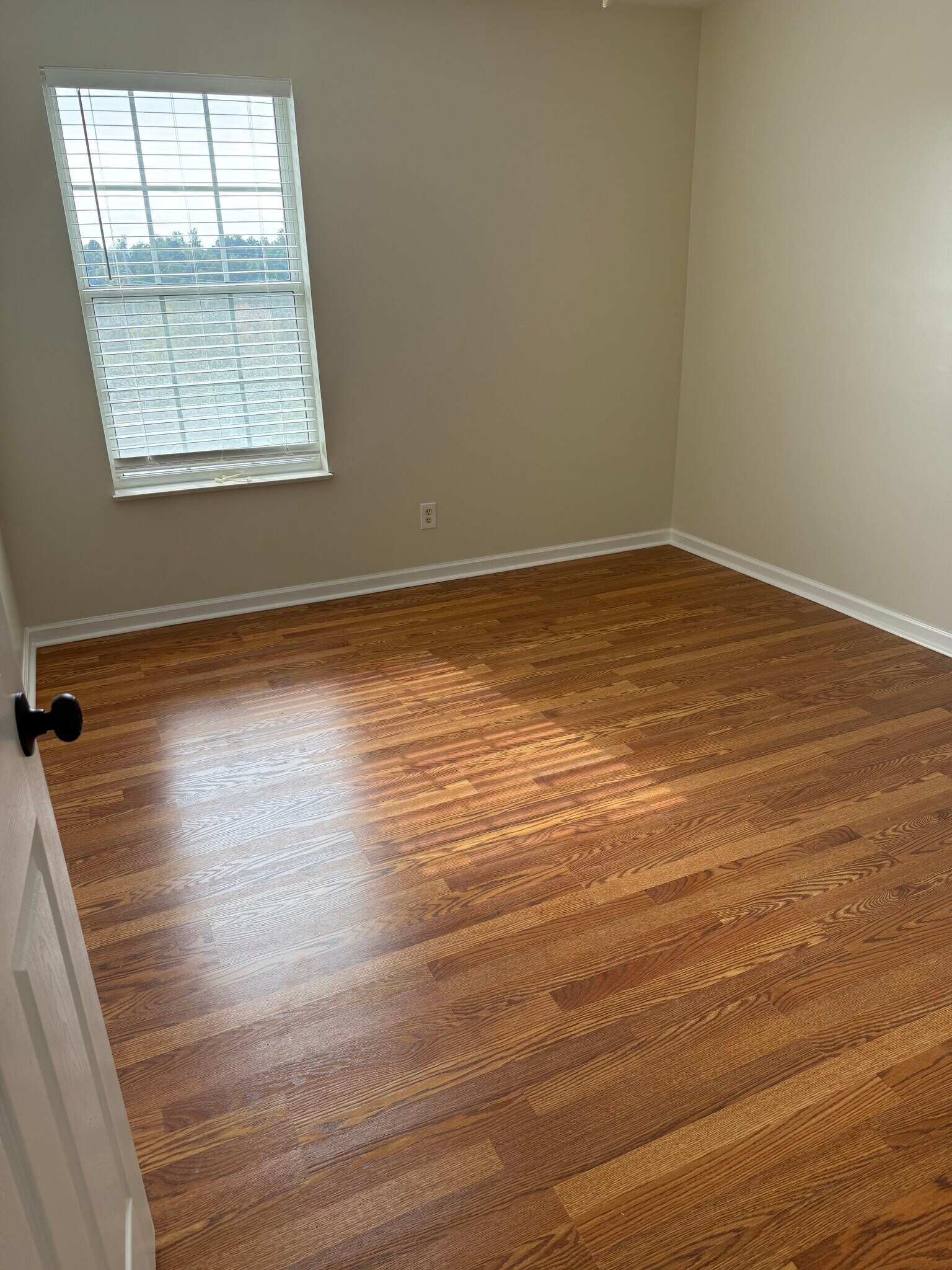 Building Photo - 6318 Sky Song Ln