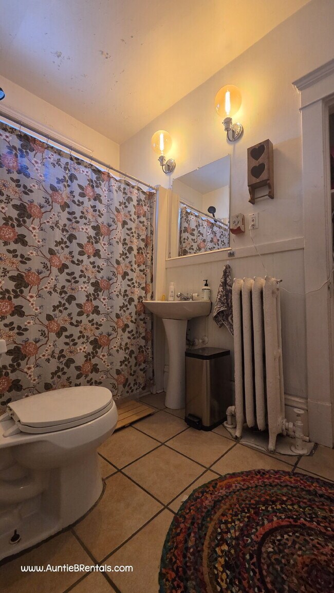 Building Photo - Beautiful single family home with near U of MN - 4 bed 2 bath