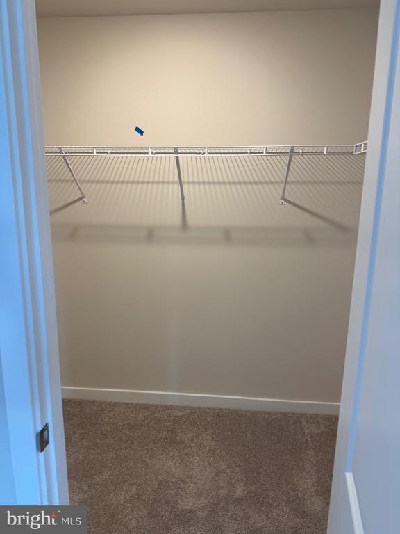 Building Photo - 115 Abramo Victor Dr