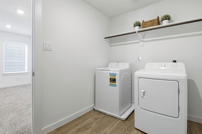Building Photo - 3538 Adelie Ln