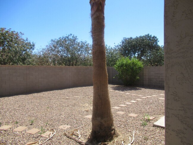 Building Photo - 4 Bedroom Home In Power Ranch, Gilbert