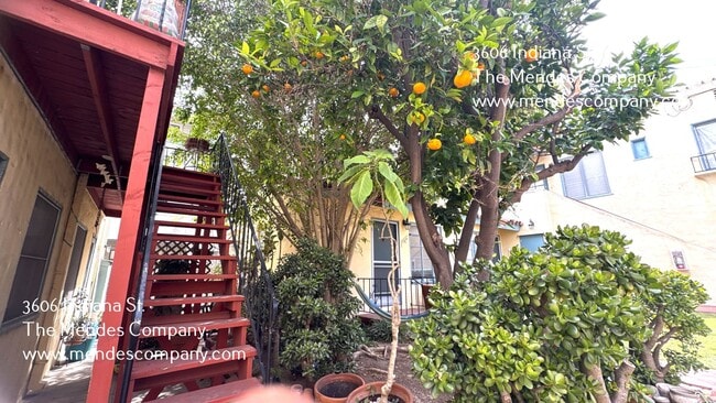 Building Photo - 3606 Indiana St