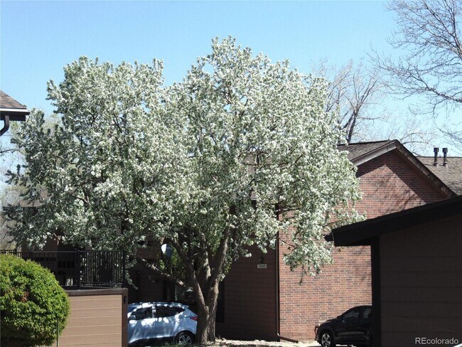 Building Photo - LOCATION LOCATION!! Newly updated 1-bed, 1...