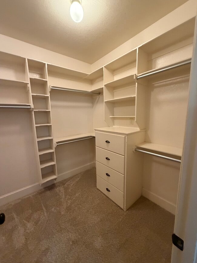 Building Photo - 1019 Stagecoach Bend