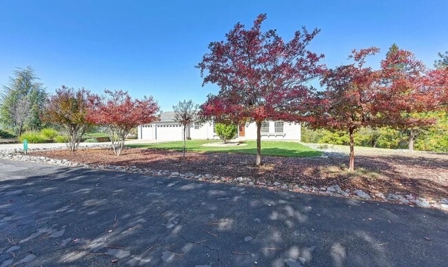 Building Photo - Beautiful 3 bedroom 2 bathroom Home in Beautiful Weimar!