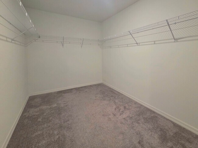 Building Photo - 2787 Red Egret Dr
