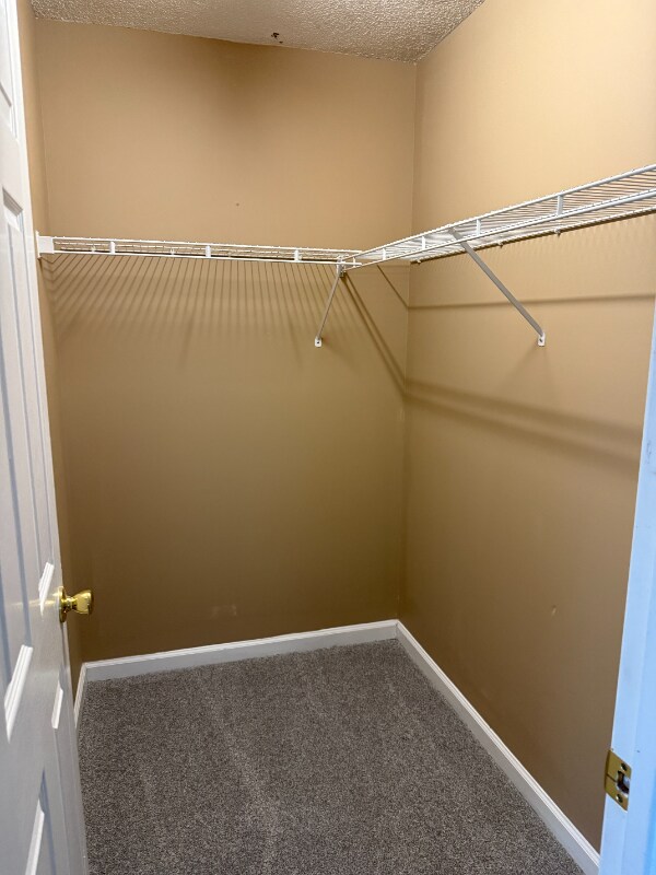 Building Photo - 13918 Laurel Trace Dr