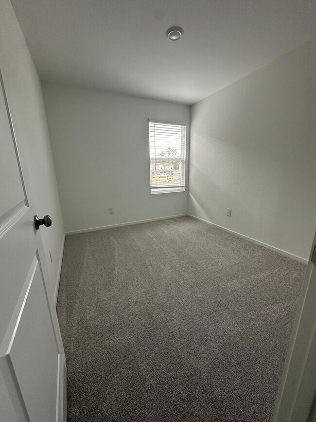 Building Photo - 939 Pertuso Ln