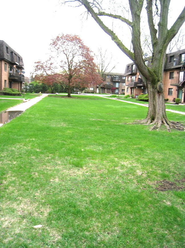 Building Photo - 919 S McKinley Ave