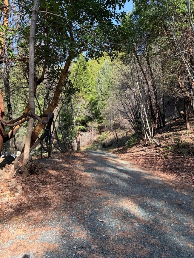 Building Photo - 13345 Pasquale Rd