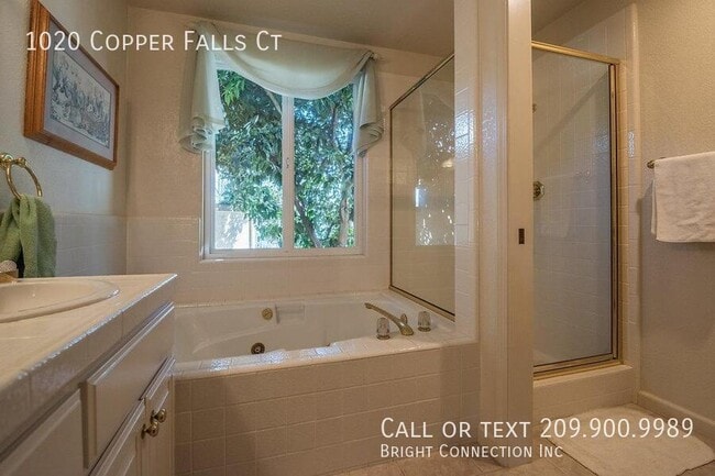 Building Photo - 1020 Copper Falls Ct
