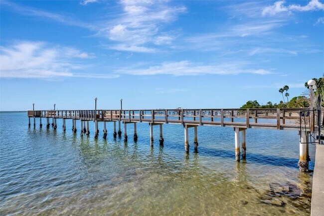 Building Photo - 650 Pinellas Point Dr S