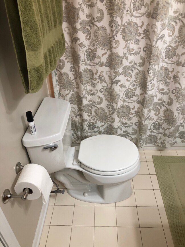 Guest Bathroom - 1604 W Edgewater Ave