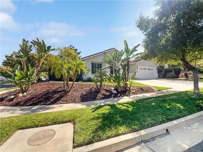 Building Photo - 4107 Forest Highlands Cir