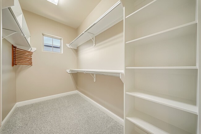 Building Photo - 1616 Live Oak St