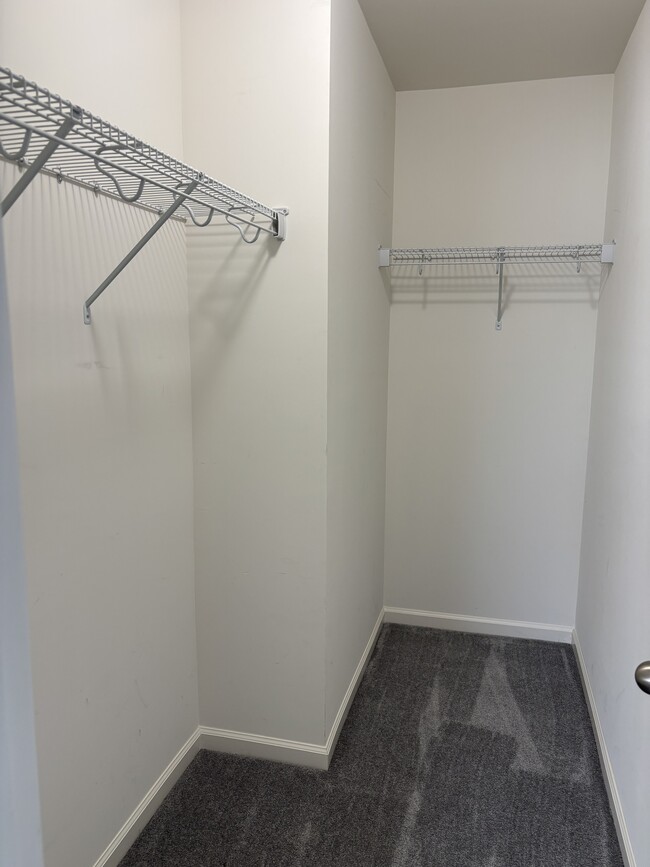 Building Photo - 145 Relict Dr