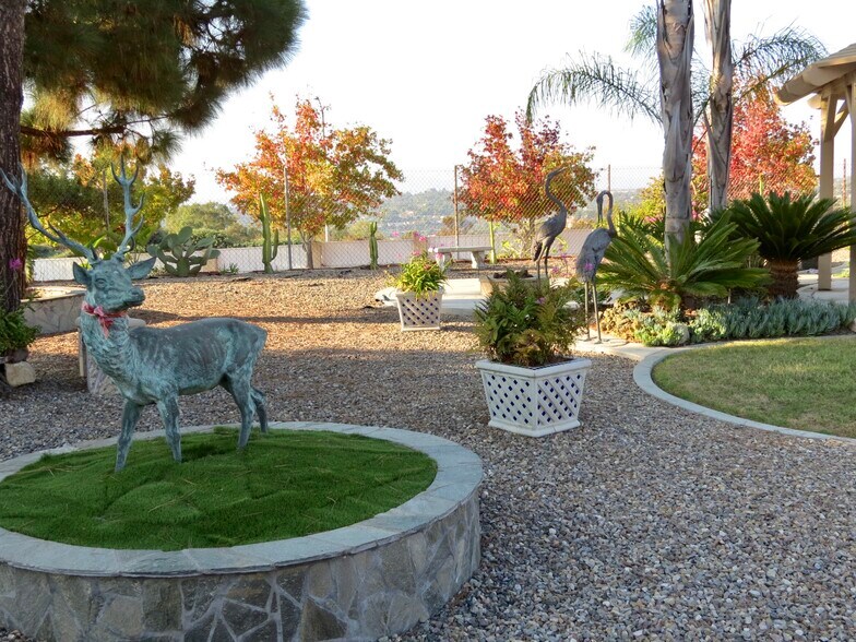 Back yard - 2414 Sonora Ct