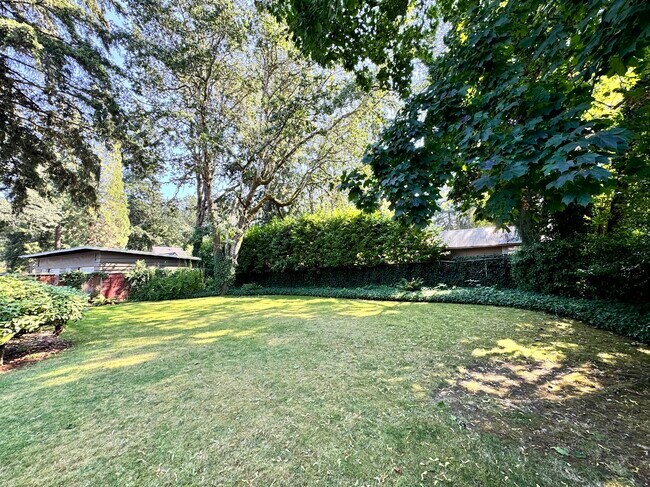 Shared Yard Space - Washington Terrace Apartments