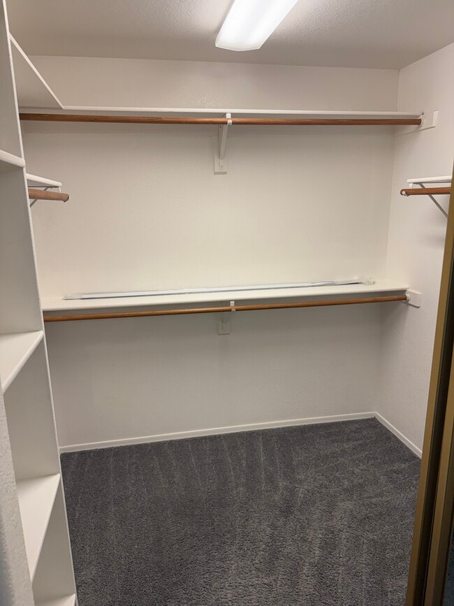 Building Photo - 12152 N Finch Dr