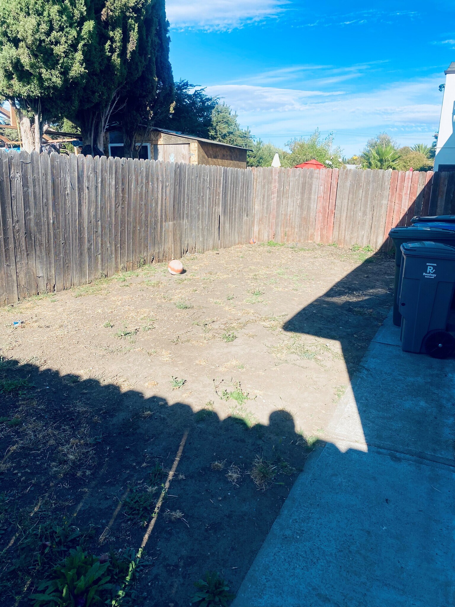 Building Photo - 300 Shasta St