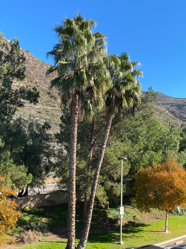 Building Photo - 3183 Dehesa Rd