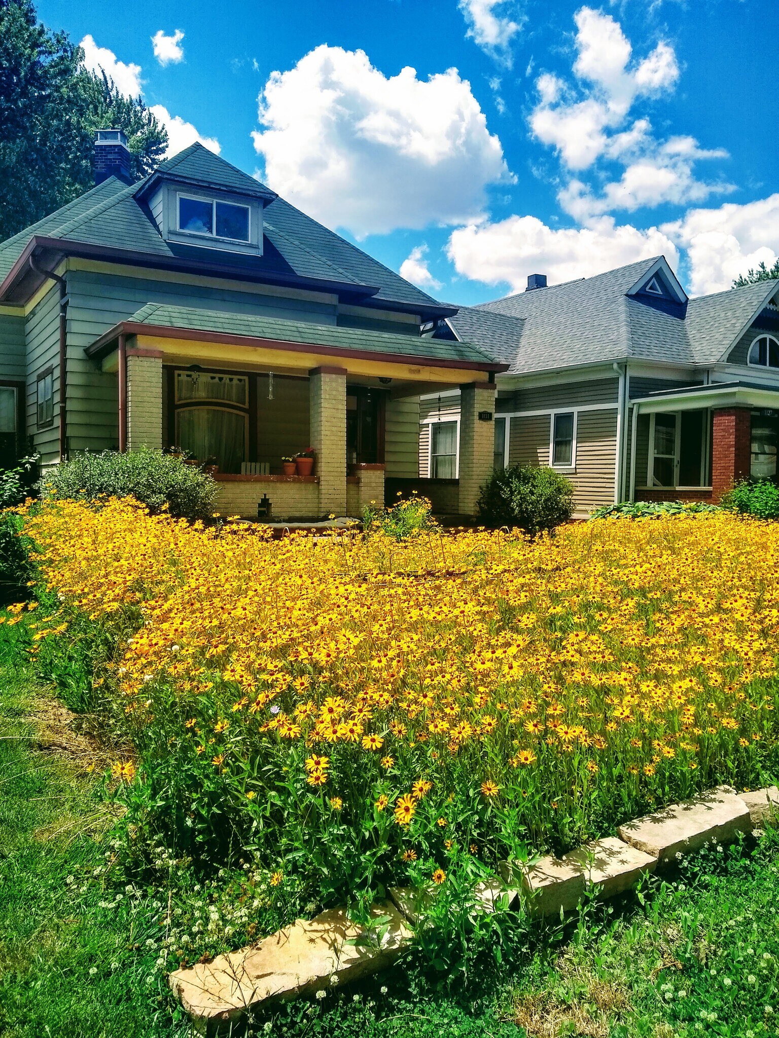 Front yard wildflowers (prior to refinishing exterior clapboard) - 1131 Lexington Ave