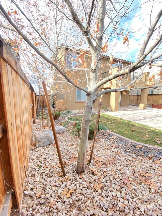 Building Photo - Home in Damonte Ranch Village