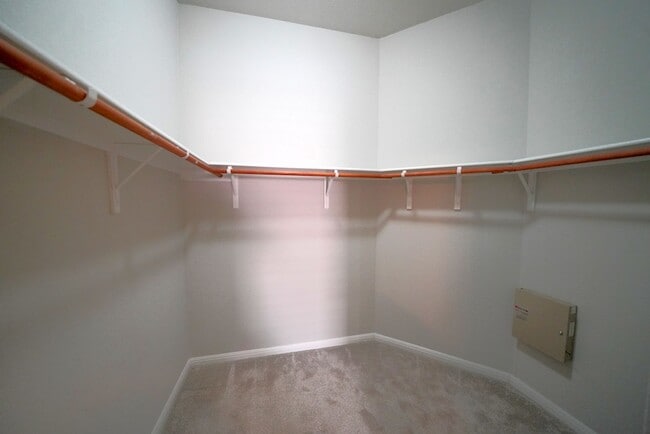 Building Photo - Gorgeous Single Story Home in Cibolo! Real...
