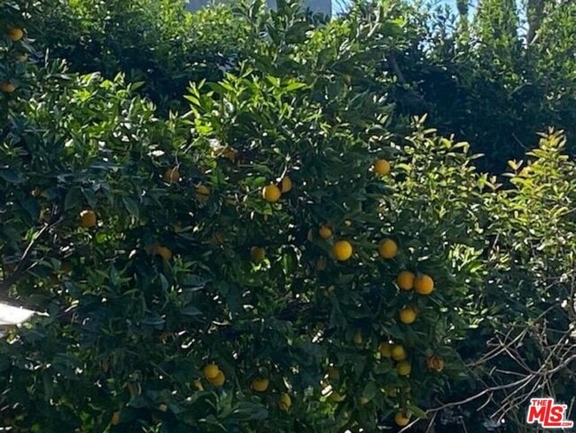 Building Photo - 1612 11th Pl