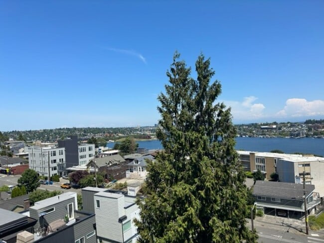 Building Photo - Ideally Located Seattle Open 1 Bed Unit w/ Breathtaking Views!
