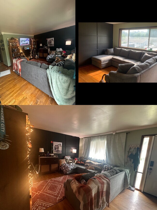 Living room - 1208 Pickwick Rd