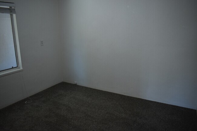 Building Photo - 1333 Frank Ave