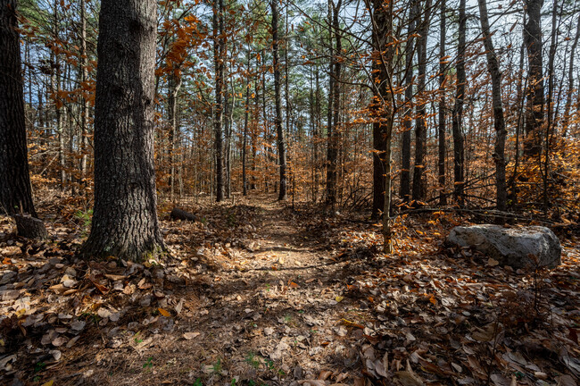 Building Photo - 135 Pine River Path