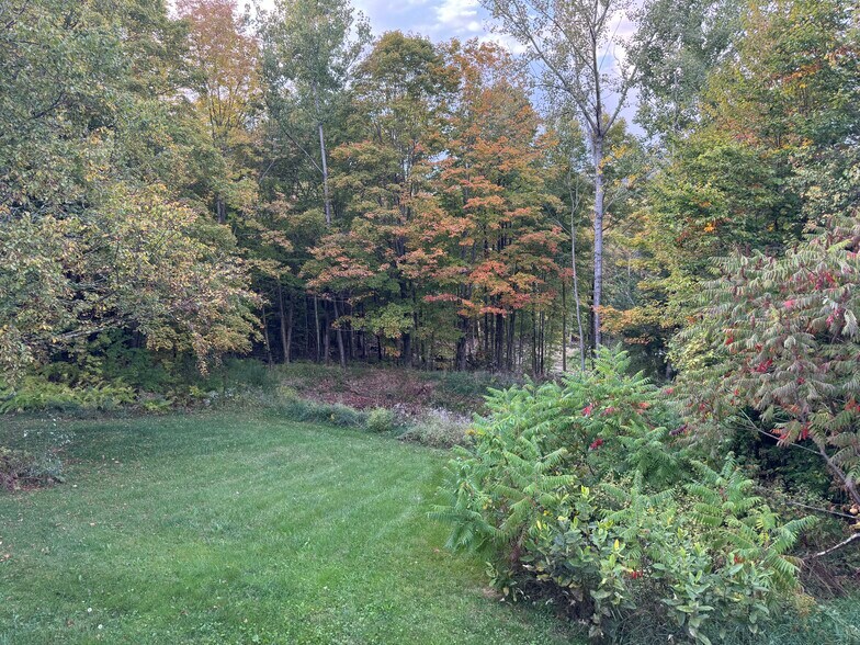 Private Back Yard - 130 Jeff Heights Rd