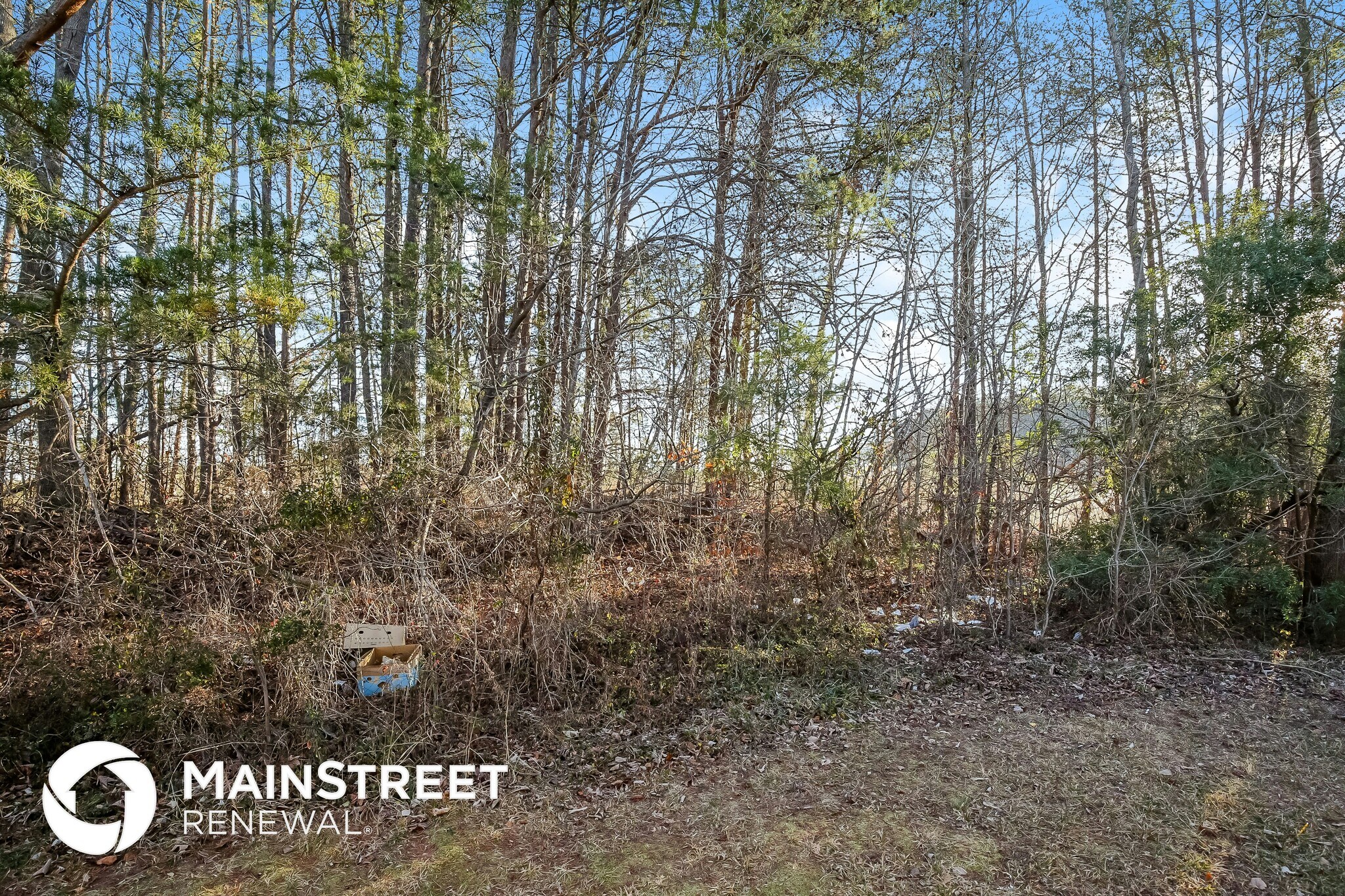 Building Photo - 4804 Shady Pine Dr