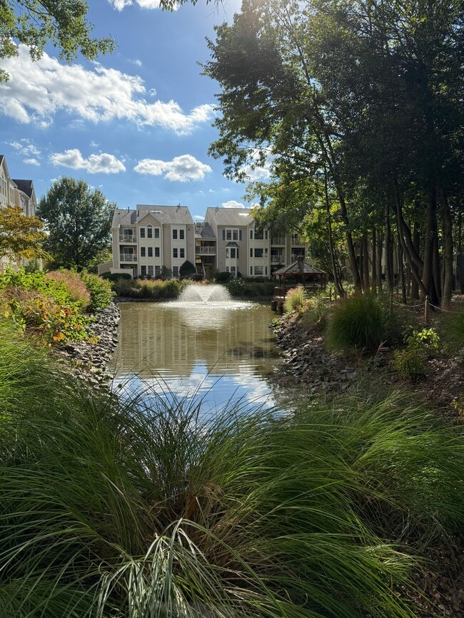 Building Photo - 12221 Fairfield House Dr