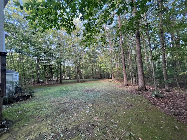 Rear Yard - 167 Shaws Mill Rd