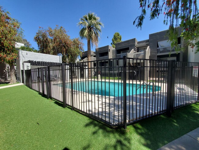 Building Photo - 1 bedroom, View of the Pool & Galley style...