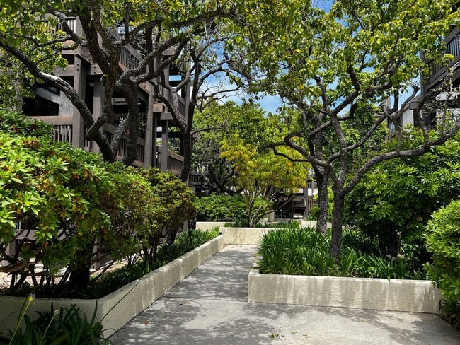 Building Photo - Two Bedroom One Bath Condo for Rent in Pla...