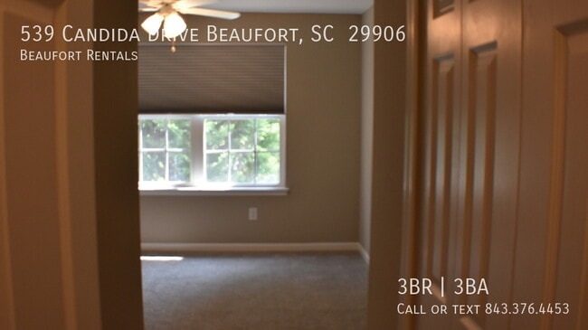 Building Photo - 539 Candida Dr