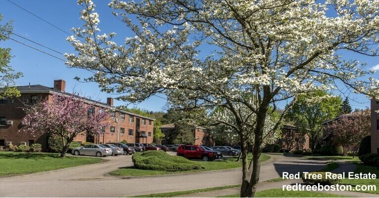 Building Photo - 278 Grove St