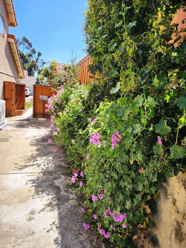 Building Photo - University City 4 bed home, Quiet street, 1950 Sqft