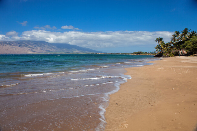 Building Photo - 715 S Kihei Rd