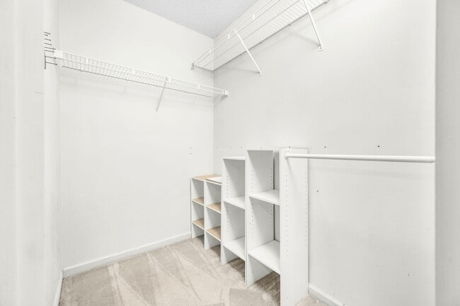 Building Photo - 201 St Regis Ln